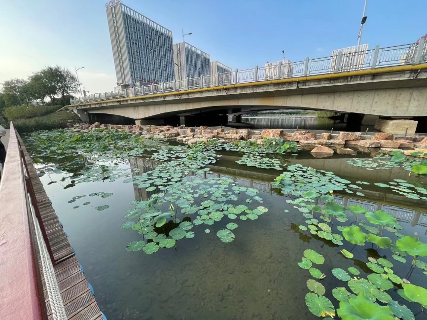 蕪湖城市建設(shè)集團(tuán)有限公司