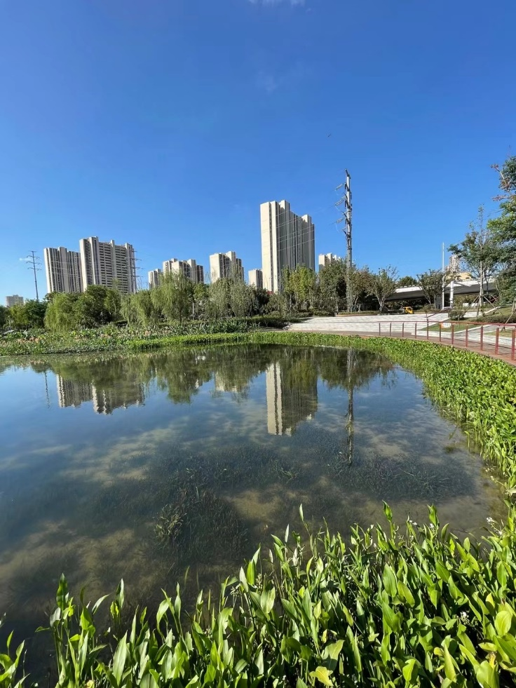 蕪湖城市建設(shè)集團(tuán)有限公司