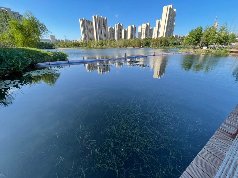 蕪湖城市建設(shè)集團(tuán)有限公司